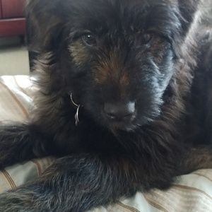 Meet your Posher, Chery